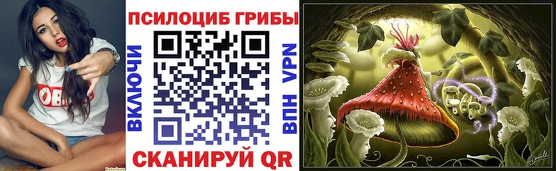 мориарти состав  даркнет сайт  Данков  Галлюциногенные грибы Psilocybe 